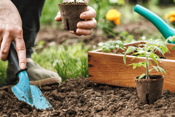 Top 5 fertilizantes naturais para usar em Hortas Verticais de apartamentos